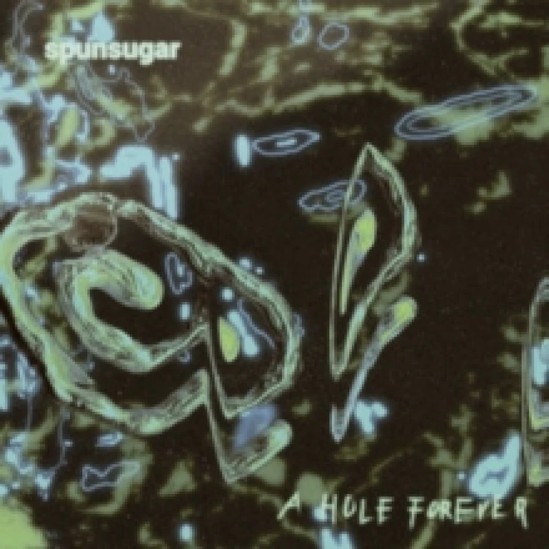 Image of A hole forever Vinyl