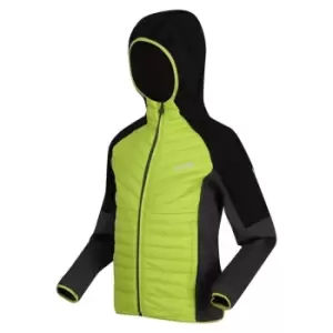Image of Regatta Kielder Hybrid VI Quilted Jacket - BriKiwi/DkGr