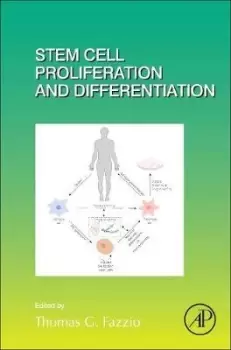 Image of Stem Cell Proliferation and Differentiation: by Thomas G. Fazzio