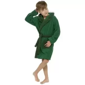 image of Tom Franks Boys Dinosaur Hooded Dressing Gown (3-4 Years) (Green)