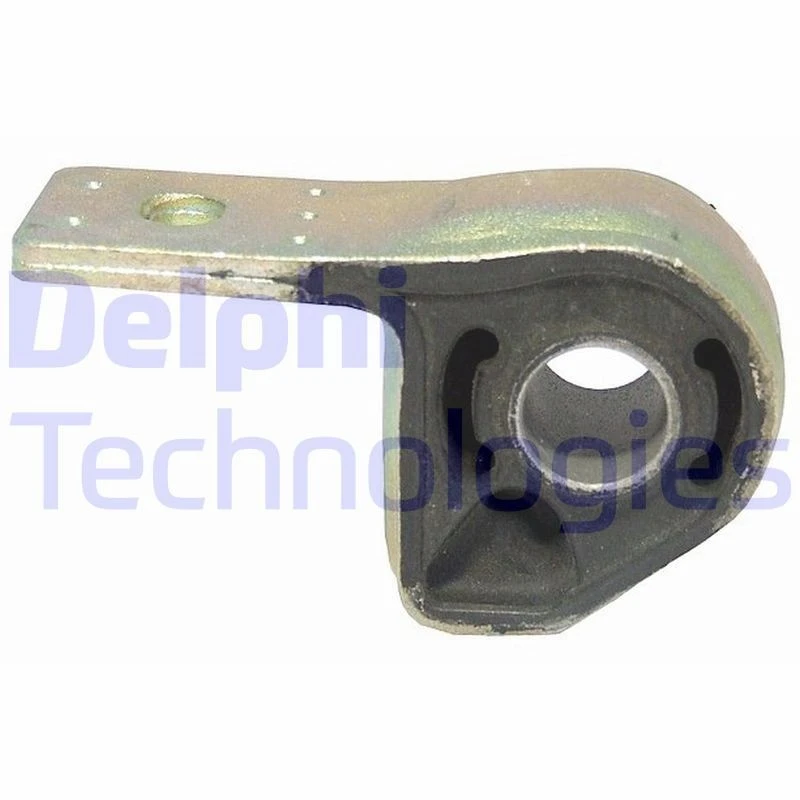 Image of DELPHI Trailing arm / Suspension arm bush DELPHI TD574W