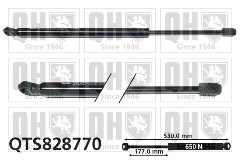 Image of QUINTON HAZELL Tailgate strut QUINTON HAZELL QTS828770