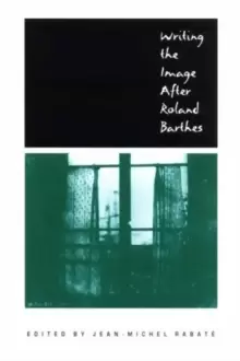 Image of Writing the Image After Roland Barthes