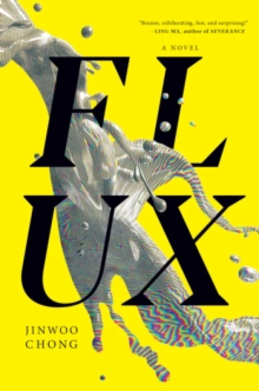 Image of flux 9781685890346