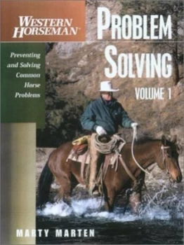 Image of Problem solving by Marty Marten
