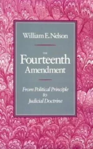 Image of The Fourteenth Amendment by We Nelson