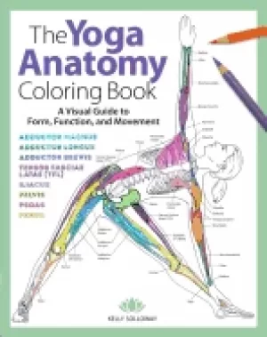 Image of yoga anatomy coloring book 1 a visual guide to form function and movement