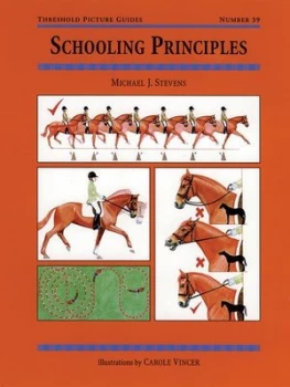 Image of Schooling Principles by Michael J Stevens Paperback
