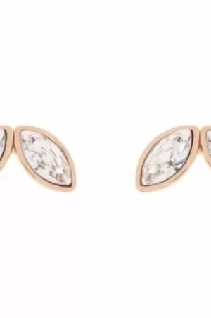 Ted Baker Ladies Rose Gold Plated Genii Geometric Bee Stud Earring TBJ1625-24-16