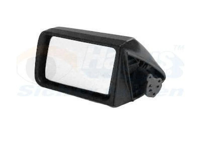 Image of VAN WEZEL Wing mirror VAN WEZEL 3770801