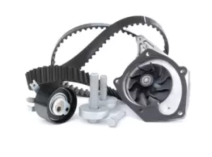Image of INA Water Pump + Timing Belt Kit RENAULT,NISSAN,DACIA 530 0197 31 119A02421R,130704805R,210108574R 7701475995,7701478031,8200039519,8200102941