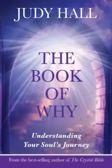 Image of The Book of Why : Understanding Your Soul's Journey
