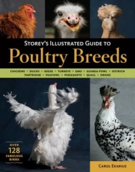 Image of Storeys illustrated guide to poultry breeds by Carol Ekarius