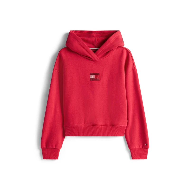 Image of Tommy Hilfiger Kids Diamante Pull Over Hoodie Ruby XJP female 14Y