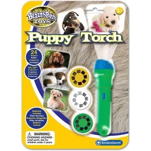 Image of Brainstorm - Puppy Torch and Projector