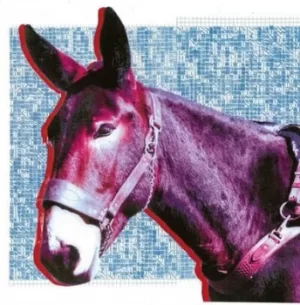 Image of Ultimate Success Today by Protomartyr CD Album