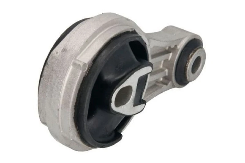 Image of REINHOCH Holder, engine mounting REINHOCH RH11-2103