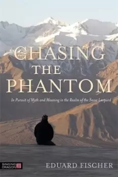 Image of Chasing the phantom by Eduard Fischer