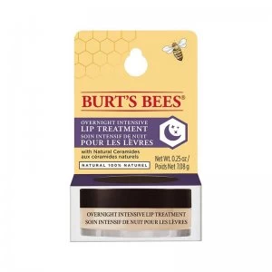 image of Burt's Bees Overnight Lip Treatment 7.08g