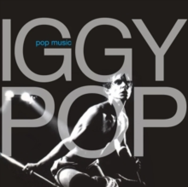 Image of Iggy Pop Pop Music [Limited Edition Grey Vinyl] 2LP Black unisex