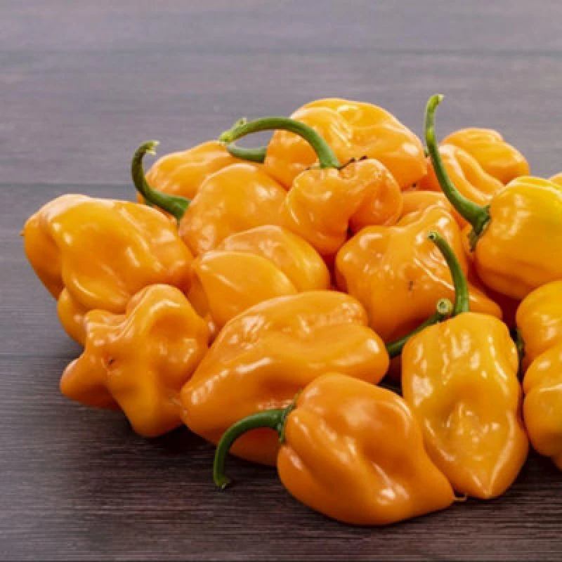 Image of Thompson & Morgan Scotch Bonnet Orange Chilli Pepper Seeds - 10 Seeds - Fruity & Spicy - Half-Hardy Annual