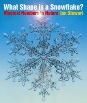 Image of What shape is a snowflake? by Ian Stewart