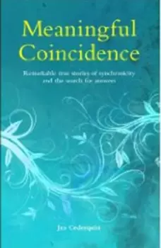 Image of Meaningful coincidence - Jan Cederquist - Paperback - Used
