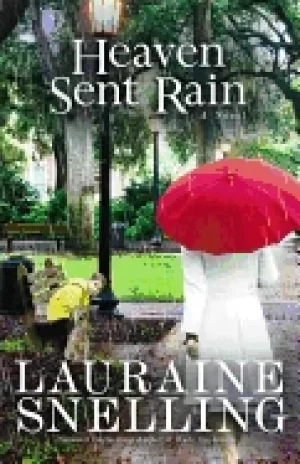 Image of heaven sent rain a novel