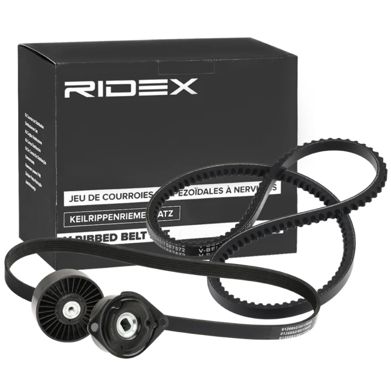 Image of RIDEX 542R0981 V-ribbed belt set V-Ribbed Belt Set (542)