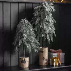 Image of Gallery Interiors Frosted Pine with Birch Log Base Natural / Small