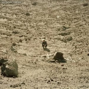Image of Noonday Dream by Ben Howard CD Album