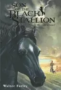 Image of son of the Black stallion