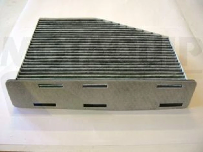 Image of MOTAQUIP Pollen filter MOTAQUIP LVCF501
