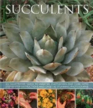 Image of succulents an illustrated guide to varieties cultivation and care with ste