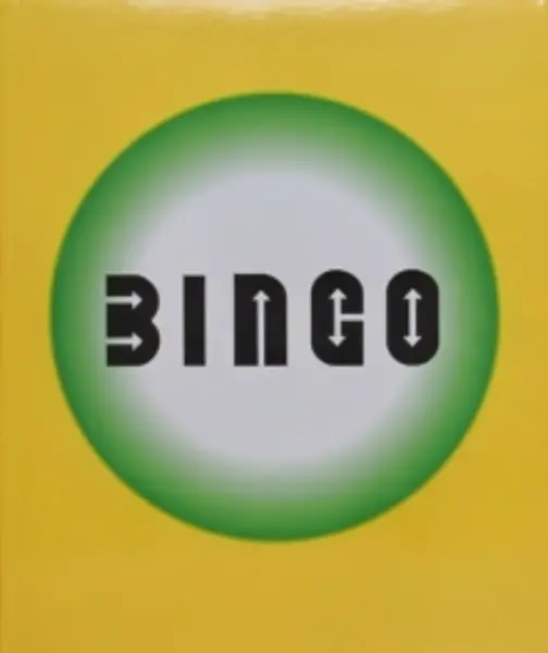 Image of bingo 9780553380408