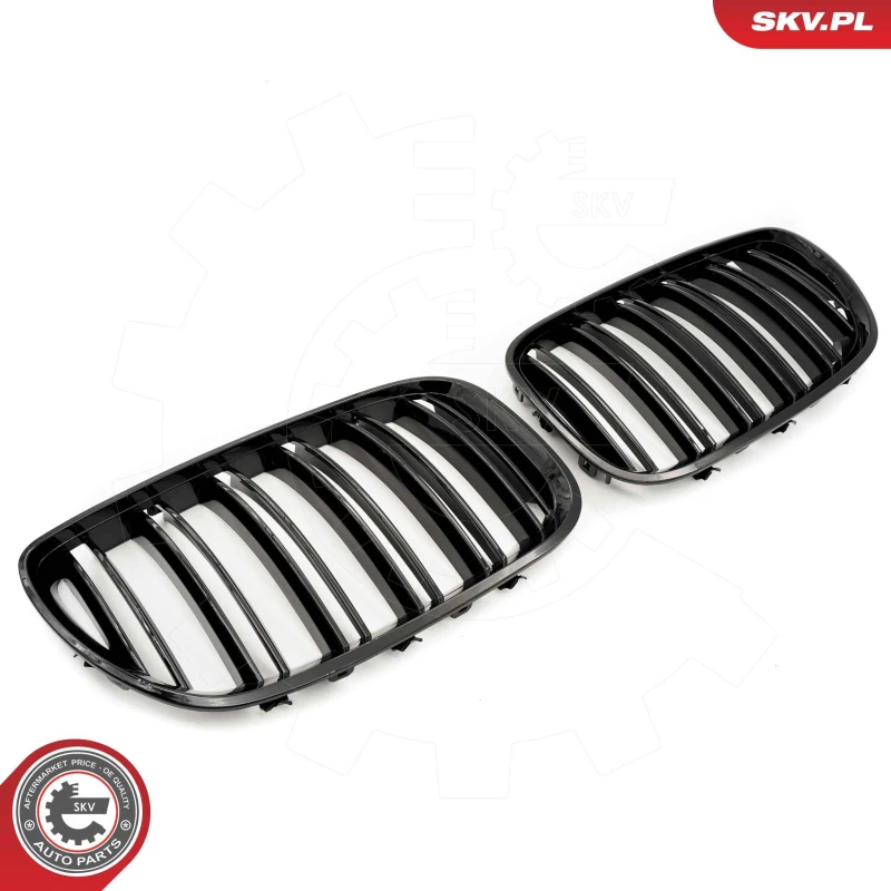 Image of ESEN SKV Radiator Grille ESEN SKV 66SKV281