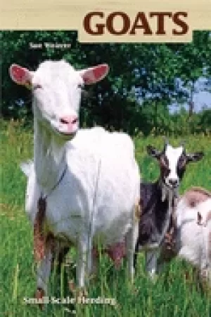 Image of goats small scale herding for pleasure and profit