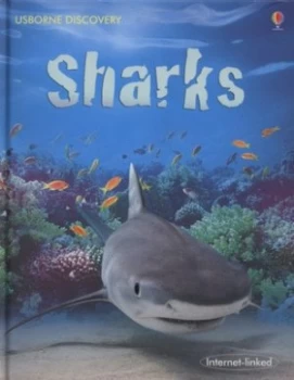Image of Sharks by Jonathan Sheikh-Miller and John Woodcock and Theresa Greenaway and Frances Dipper Hardback