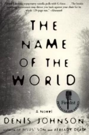 Image of The Name of the World by Denis Johnson