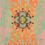 Image of Grateful Dead - RFK Stadium, Washington, DC 6/10/73 (4CD Boxset)