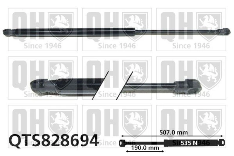Image of QUINTON HAZELL Tailgate strut QUINTON HAZELL QTS828694