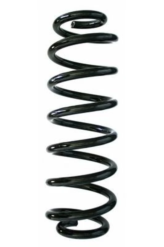 Image of Coil spring SPIDAN 87349