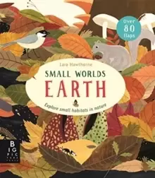 Image of Small Worlds: Earth