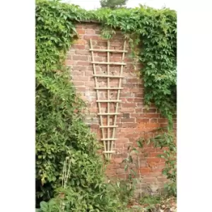 Image of Traditional Fan Trellis 180 x 60cm