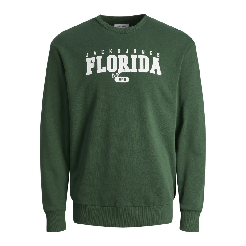 Image of jack & jones Sweatshirt Crewneck child Jack & Jones Cory Vert Male 8 ans