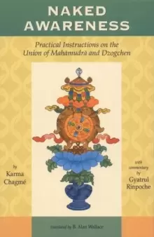 Image of Naked Awareness : Practical Instructions on the Union of Mahamudra and Dzogchen