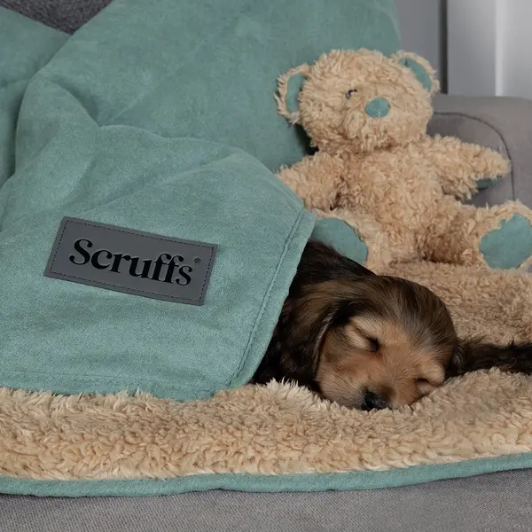 Image of Scruffs Snuggle Blanket Sage-Green