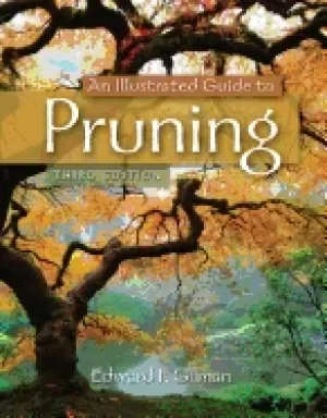 Image of illustrated guide to pruning