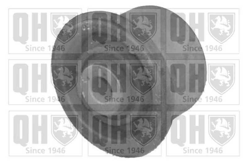 Image of QUINTON HAZELL Trailing arm / Suspension arm bush QUINTON HAZELL EMS8054