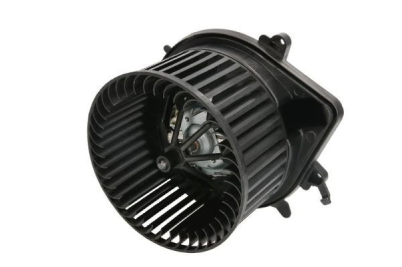 Image of THERMOTEC Blower motor THERMOTEC DDB015TT